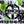 Load image into Gallery viewer, Pencig vape shop black logo, e-liquid description including 60vg / 40pg proportions and 12mg level of nicotine on the icicles, ice cubes and blackcurrant background.