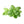 Load image into Gallery viewer, Green fresh mint leaves in the white background.
