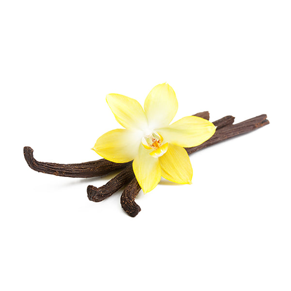 Vanilla sticks and flower on a white background.